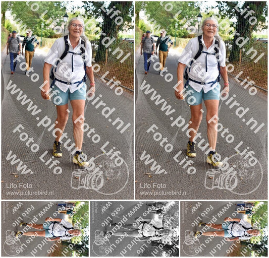 Evenement foto: 876