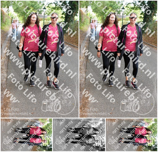 Evenement foto: 876