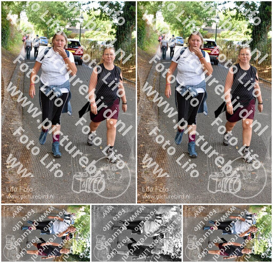 Evenement foto: 876