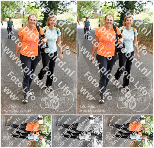 Evenement foto: 876