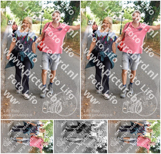 Evenement foto: 876
