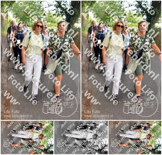 Evenement foto: 876