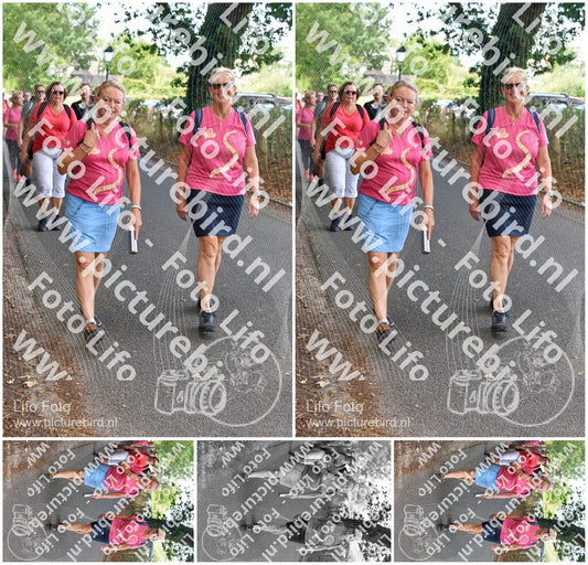 Evenement foto: 877