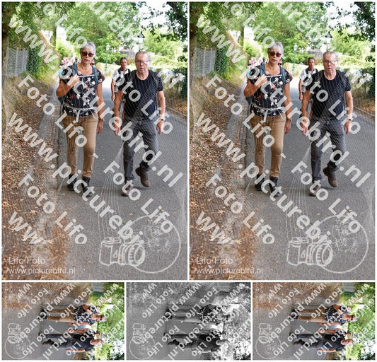 Evenement foto: 877