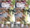 Evenement foto: 877