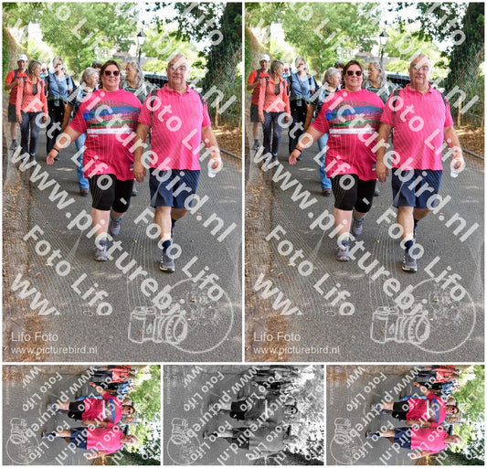 Evenement foto: 877