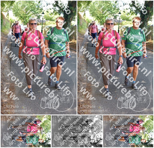 Evenement foto: 877