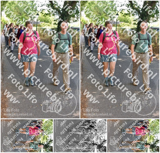 Evenement foto: 877