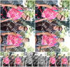 Evenement foto: 878