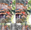 Evenement foto: 878