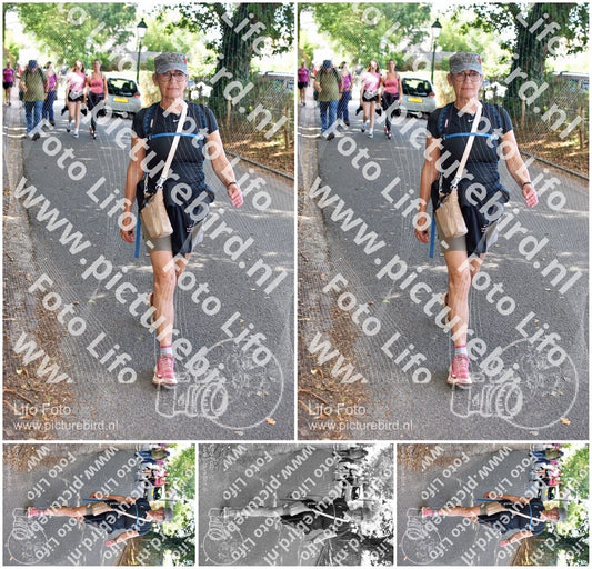 Evenement foto: 879