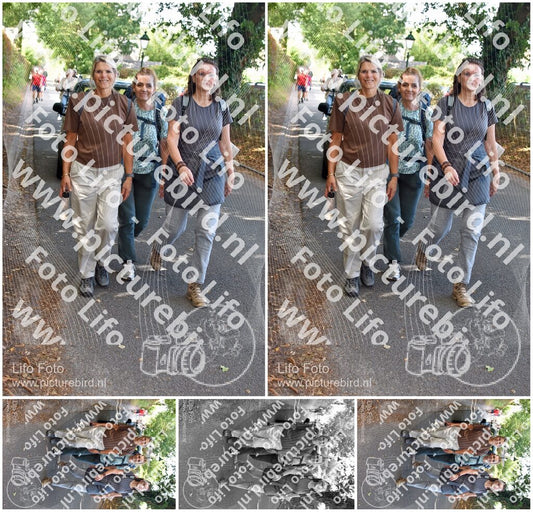 Evenement foto: 879