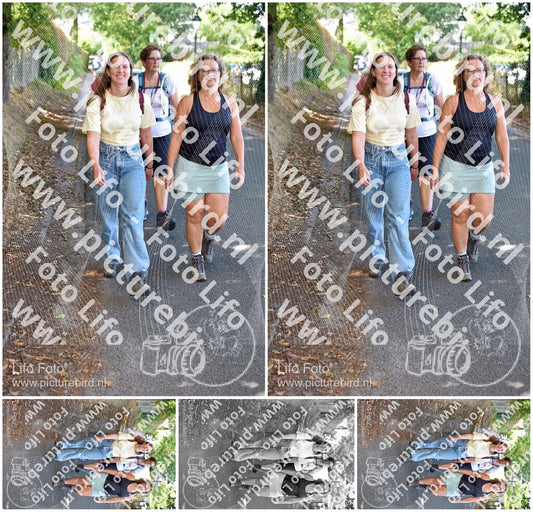Evenement foto: 879