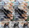 Evenement foto: Serie 2050