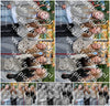 Evenement foto: Serie 2050