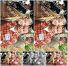 Evenement foto: Serie 1953