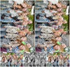 Evenement foto: Serie 1954