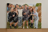 Evenement foto: Serie 1954