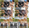Evenement foto: Serie 1954