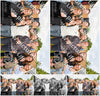Evenement foto: Serie 1954