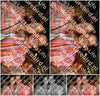 Evenement foto: Serie 1954