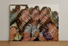 Evenement foto: Serie 1954