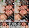 Evenement foto: Serie 1955