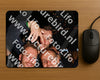 Evenement foto: Serie 1956