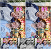 Evenement foto: Serie 2051