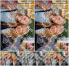 Evenement foto: Serie 2051