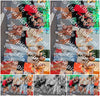 Evenement foto: Serie 2051