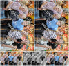 Evenement foto: Serie 2052