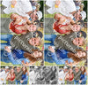 Evenement foto: Dijkpop Serie 381