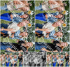 Evenement foto: Dijkpop Serie 381