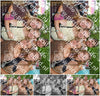 Evenement foto: Dijkpop Serie 381