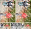 Evenement foto: 880