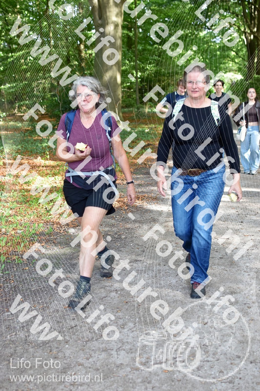 Evenement foto: 882