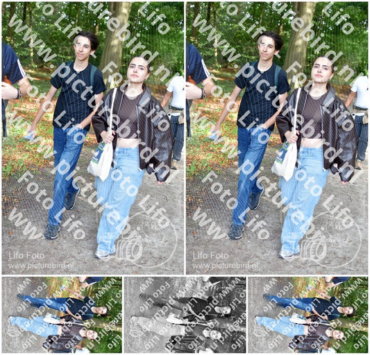 Evenement foto: 882