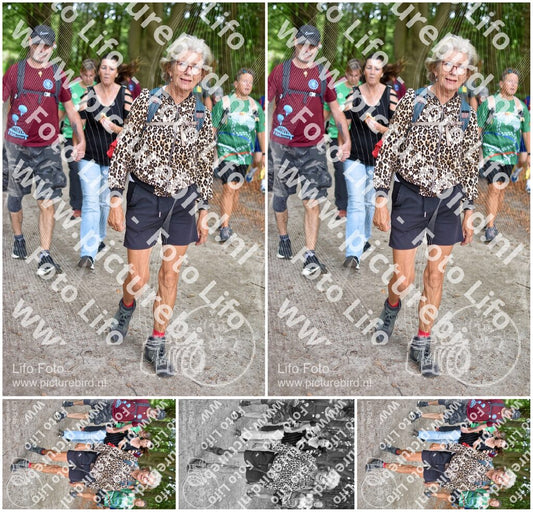 Evenement foto: 883