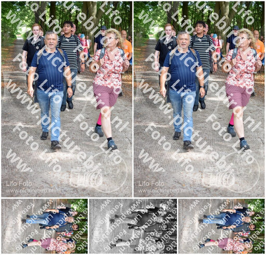Evenement foto: 884