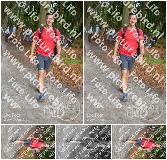Evenement foto: 885