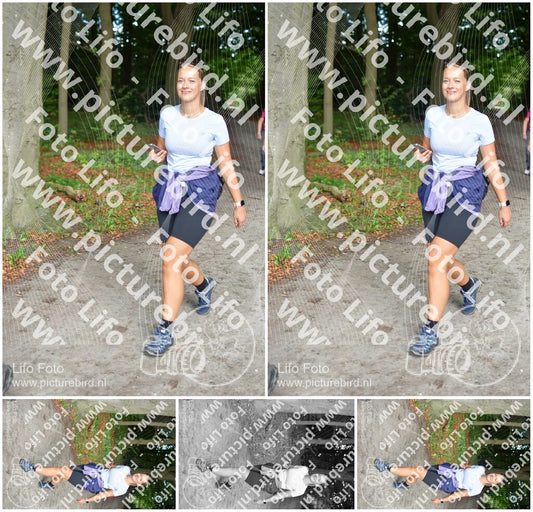 Evenement foto: 887
