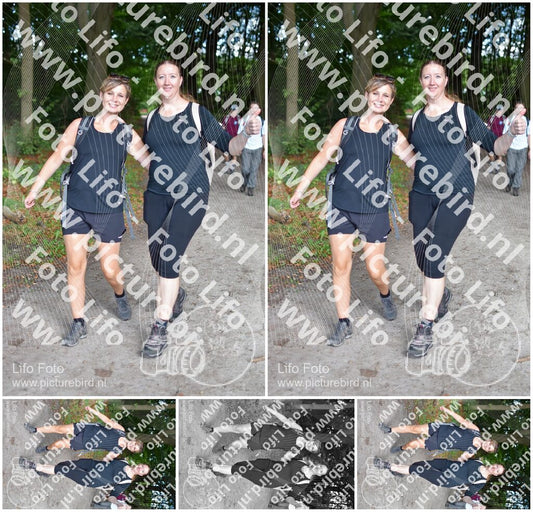 Evenement foto: 887