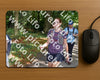 Evenement foto: 888