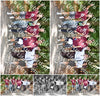 Evenement foto: 889