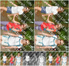 Evenement foto: 889