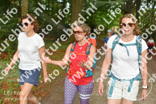 Evenement foto: 889