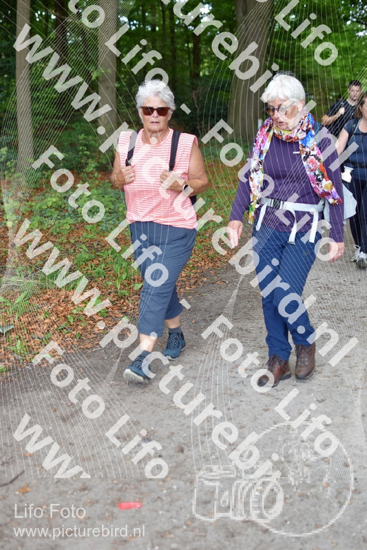 Evenement foto: 890