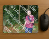 Evenement foto: 891