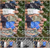 Evenement foto: 891